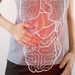 The 5 Best Gut Health blogs of 2020
